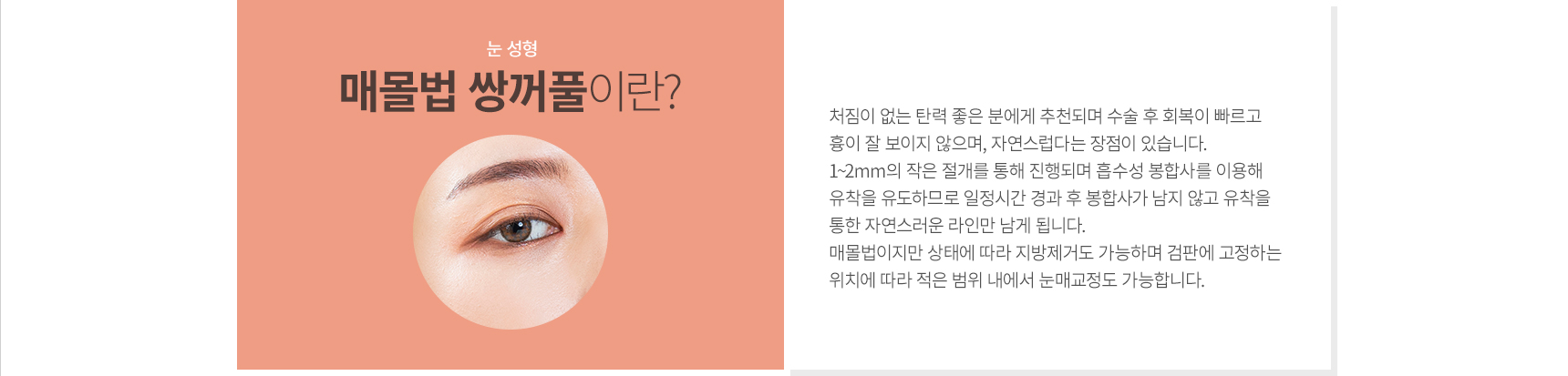 �Ÿ���/������