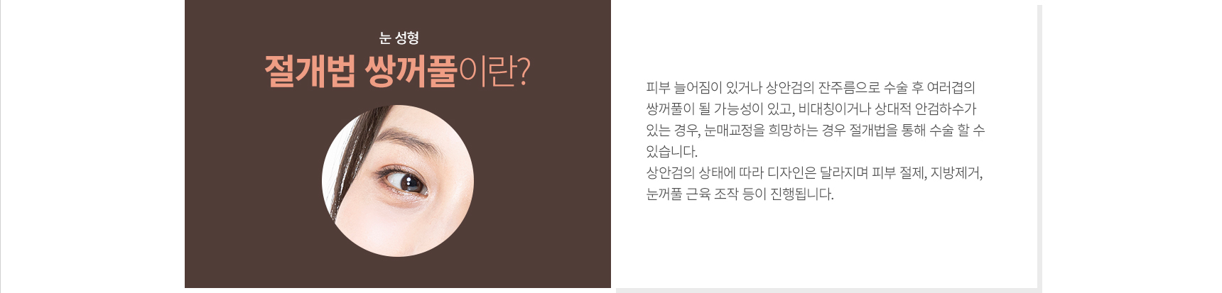 �Ÿ���/������