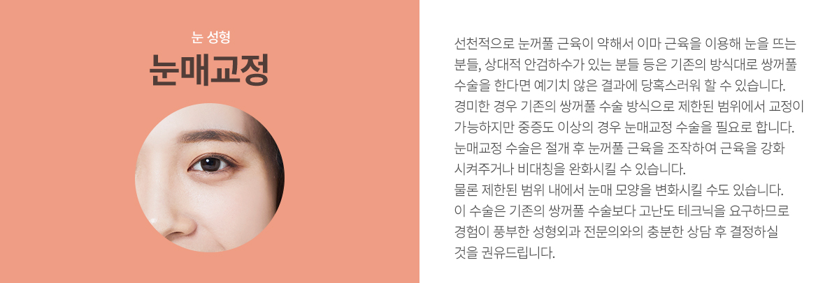 ���ű���