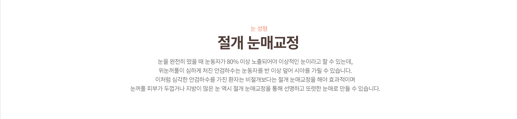 ���ű���