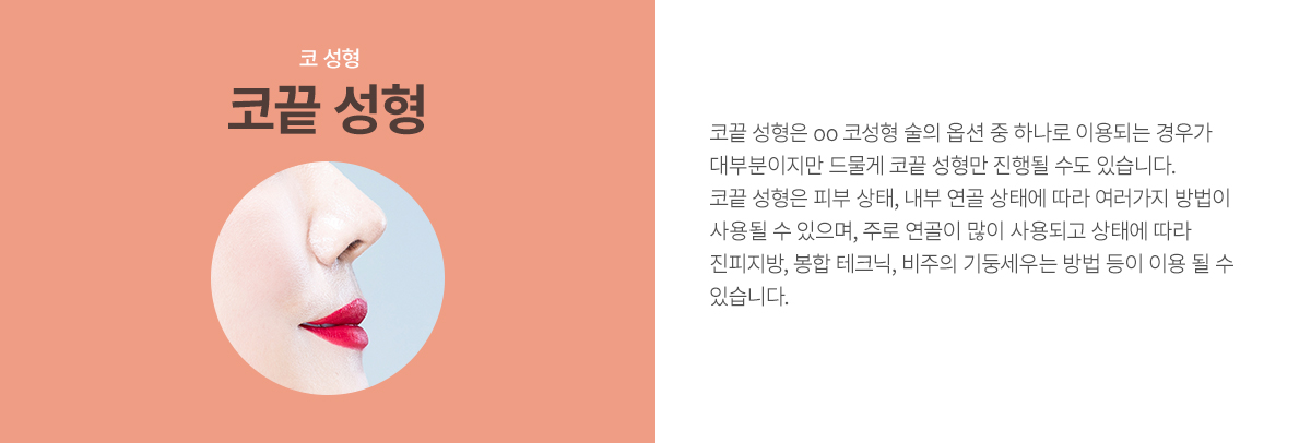 �ڳ�����