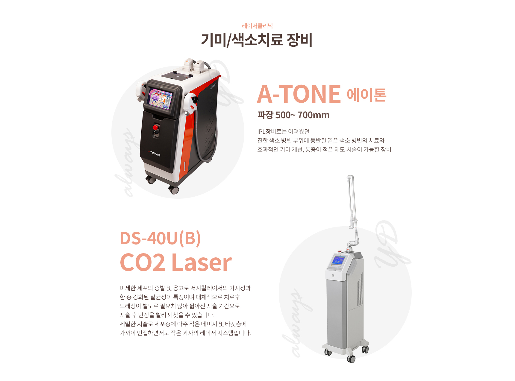 ���/����(�׳�ȭ)