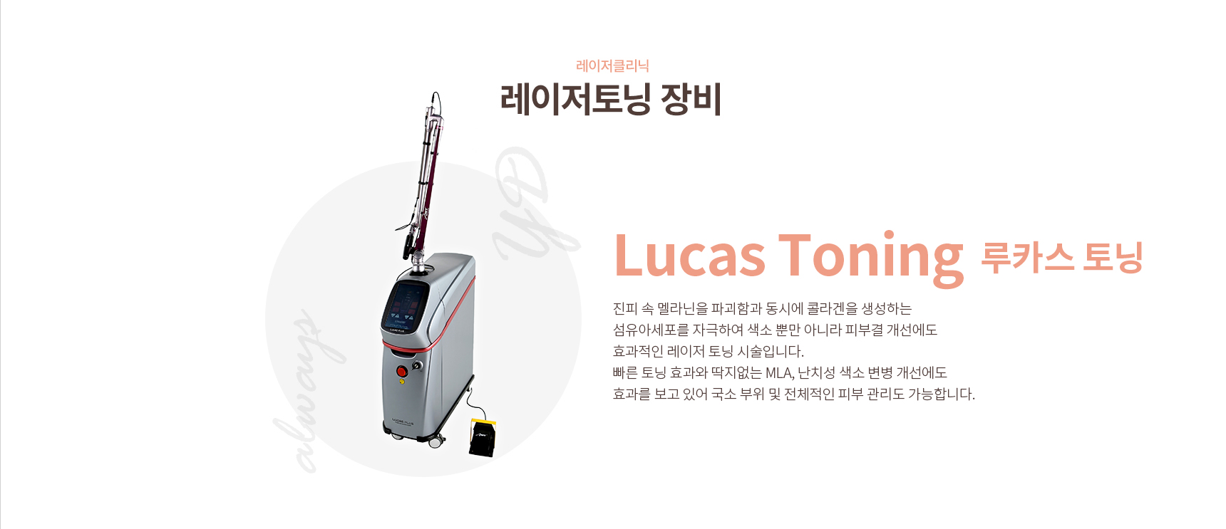 ���� �Ǻ���(���)