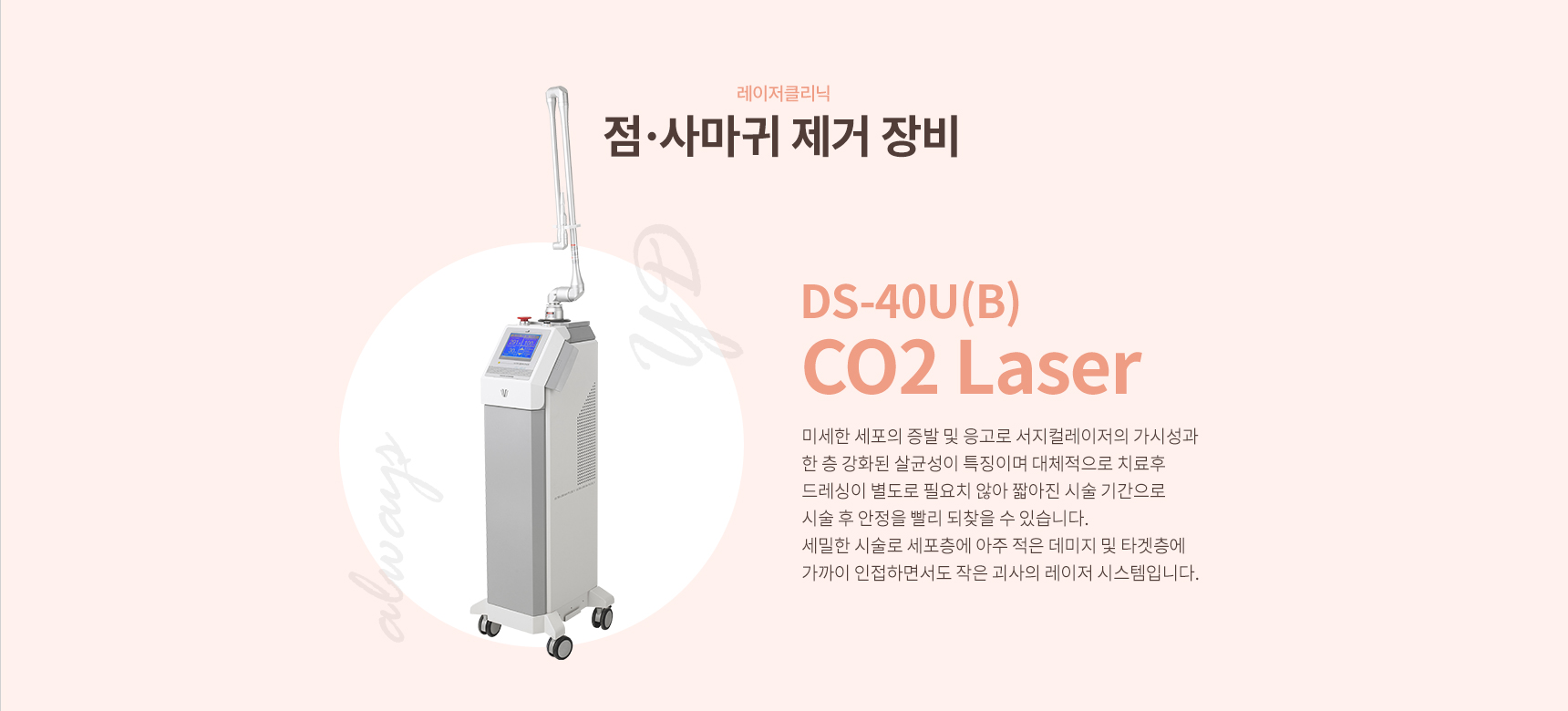 �����縶��